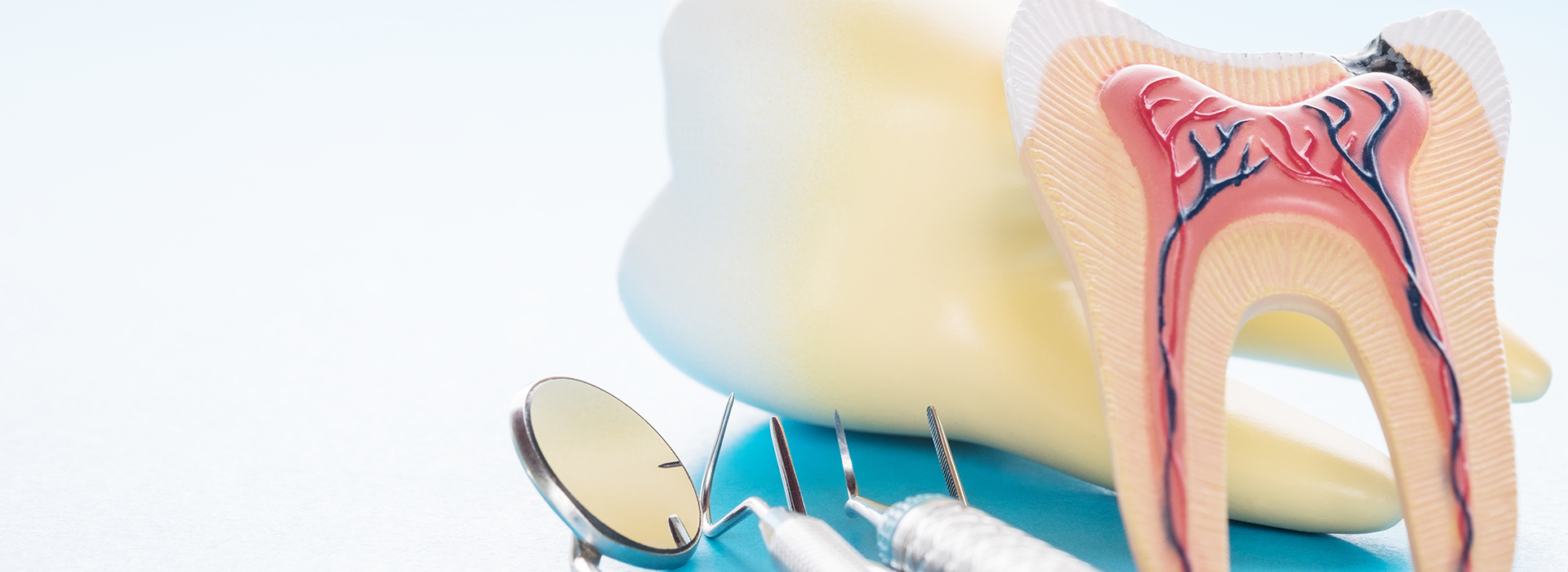 The image shows a close-up of a dental model with an oral cavity, accompanied by dental tools such as a toothbrush and a dental mirror.